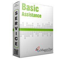 Basic Assistance Service