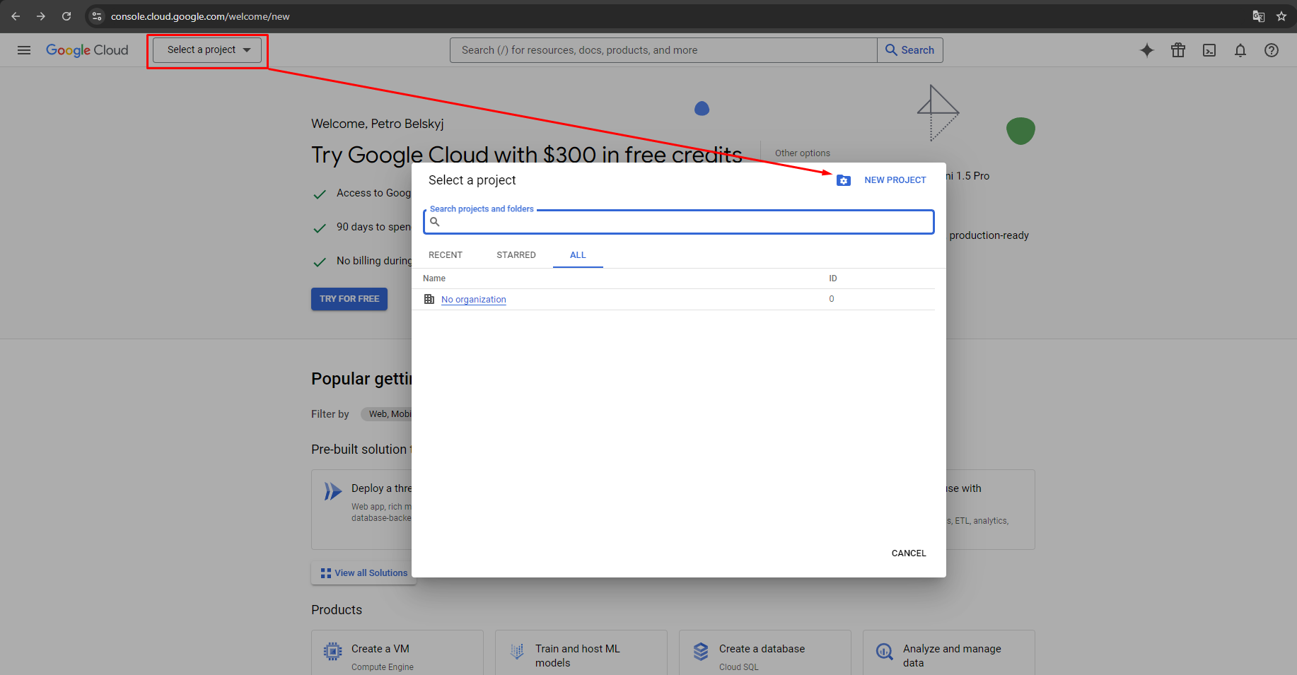 Generate Google API keys for Store Manager for PrestaShop,From the projects list, select a project or create a new one