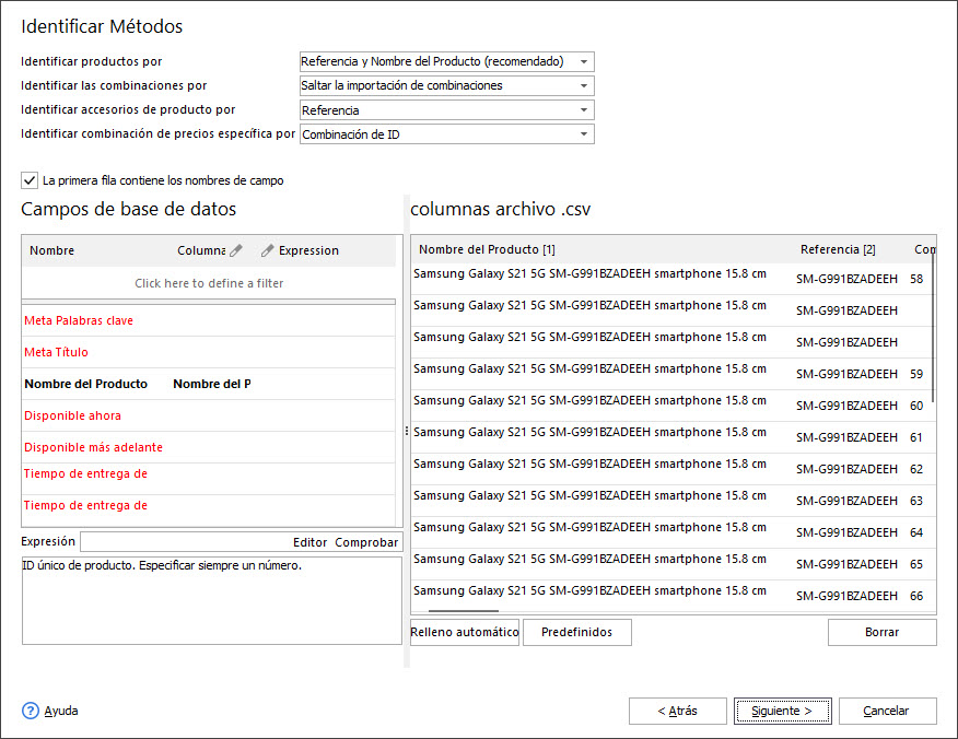 Assign CSV Columns to Database Fields with Store Manager