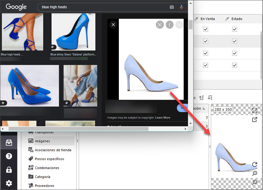 Drag and Drop Image from Web Browser