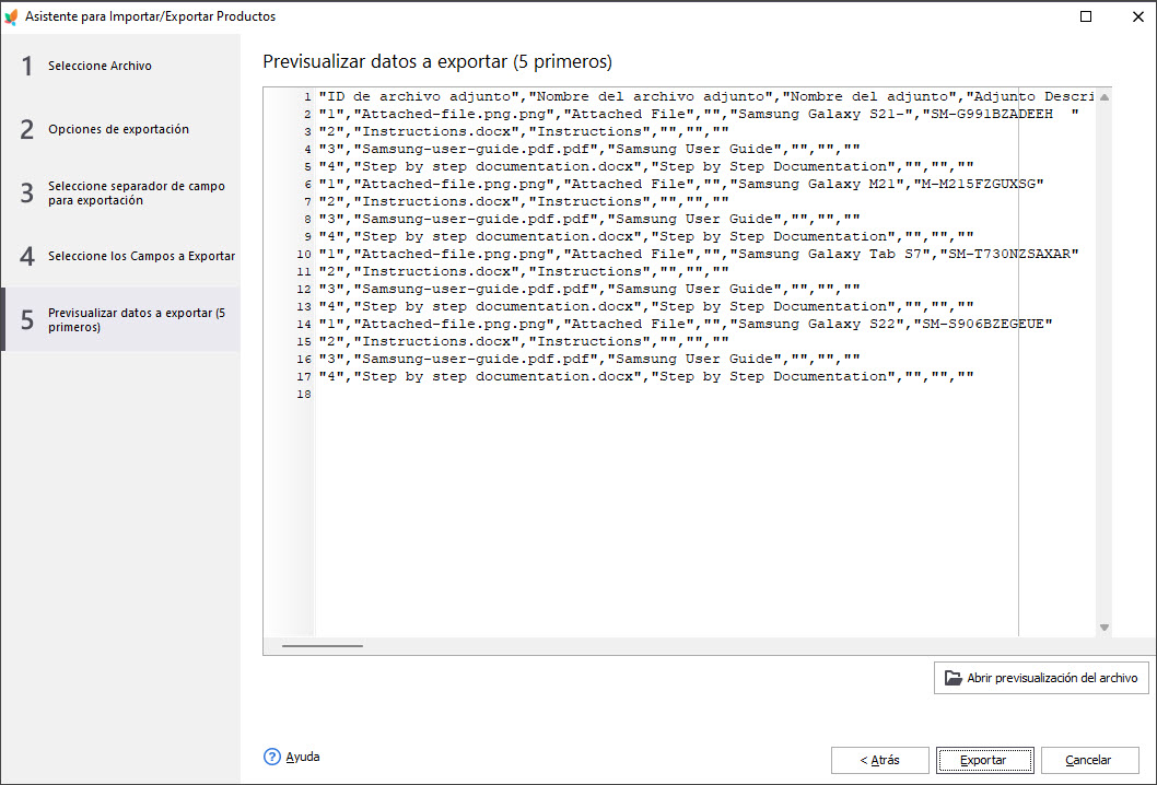Preview Export Data Step in Export Wizard