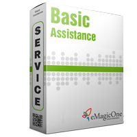 Basic Assistance Service Basic Assistance Service